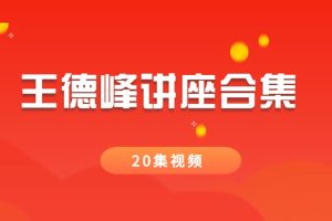 王德峰讲座合集（20集视频）