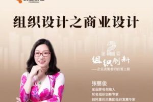 组织创新-张丽俊：组织设计之商业设计