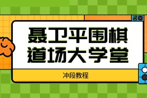 聂卫平围棋道场大学堂（冲段教程）