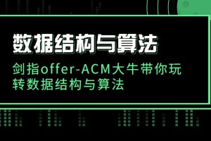 数据结构与算法：剑指offer-ACM大牛带你玩转数据结构与算法（带全套资料）