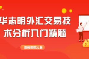【华志明】华志明外汇交易技术分析入门精髓视频31集