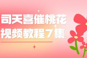 司天喜催桃花视频教程7集