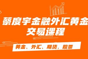 蔡度宇金融外汇黄金交易课程合集