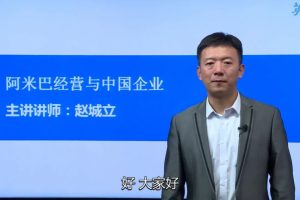赵城立-阿米巴经营对中国企业的启示（ 5集视频）