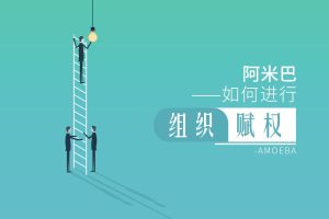 林少刚-阿米巴如何进行组织赋权（2集视频）