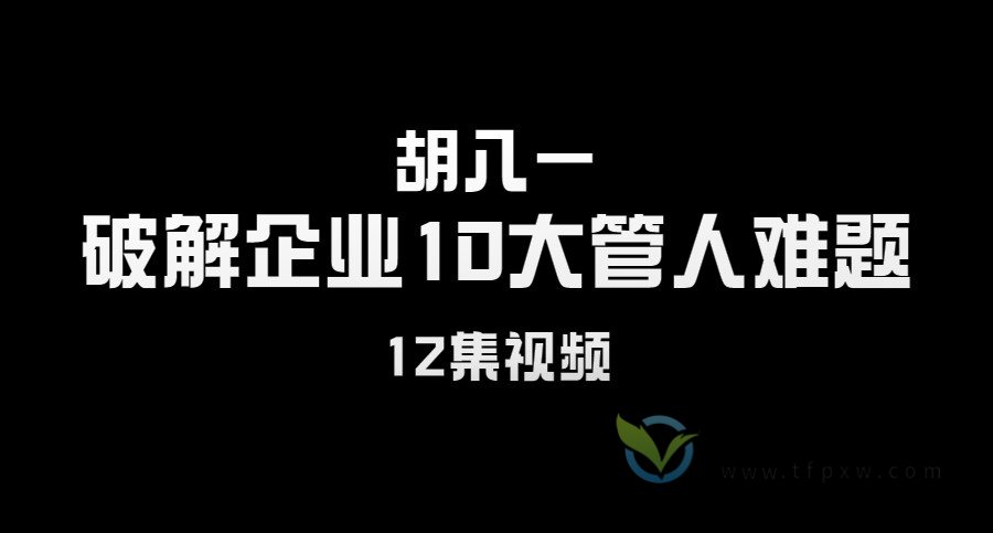胡八一《破解企业10大管人难题》12集视频插图