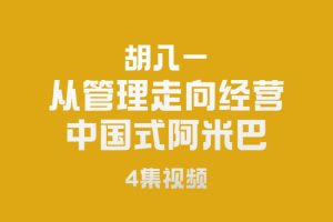 胡八一-从管理走向经营-中国式阿米巴（4集）