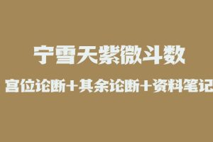 宁雪天紫微斗数（宫位论断+其余论断+资料笔记）