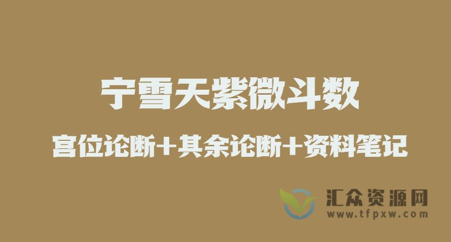 宁雪天紫微斗数（宫位论断+其余论断+资料笔记）插图