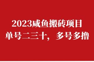 2023闲鱼搬砖项目，单号二三十，可多号多撸