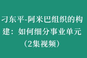 刁东平-阿米巴组织的构建：如何细分事业单元（2集视频）