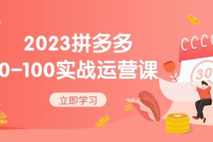 2023年拼多多0-100实战运营教程