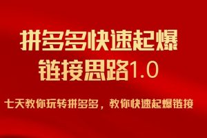 拼多多快速起爆链接思路1.0，七天教你玩转拼夕夕，教你快速起爆链接