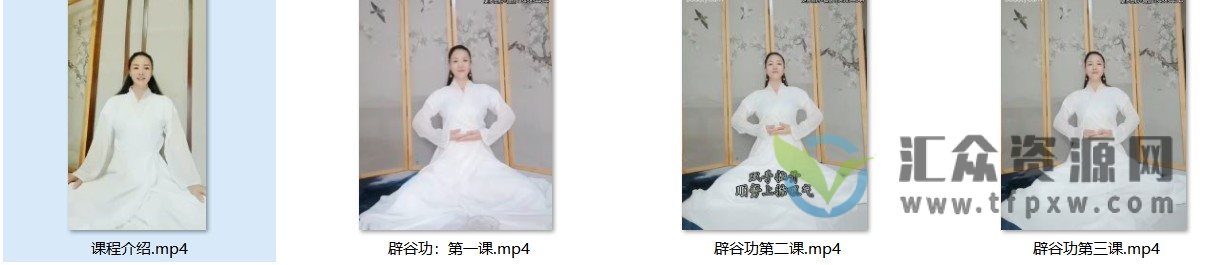 道家功法(辟谷功《净莲化生诀》视频课程4讲插图1