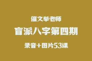 催文举盲派八字第四期课程53课（录音+图片）