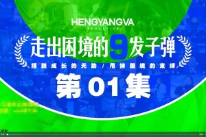 恒洋：走出困境的9发子弹