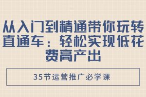 从入门到精通带你玩转直通车：轻松实现低花费高产出，35节运营推广必学课