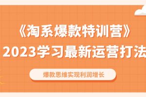《2023淘系爆款特训营》学习最新运营打法，爆款思维实现利润增长