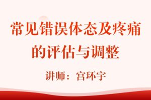 宫环宇老师《常见错误体态及疼痛的评估与调整》18节视频课