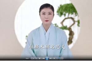 杨帆-道家驻颜术（6节视频课）