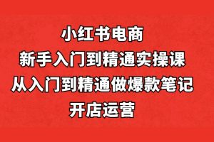 小红书电商新手入门到精通实操课，从入门到精通做爆款笔记，开店运营