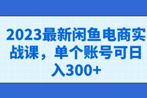 2023最新闲鱼电商实战课，单个账号可日入300+
