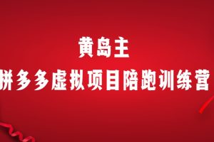 黄岛主《拼多多虚拟项目陪跑训练营》