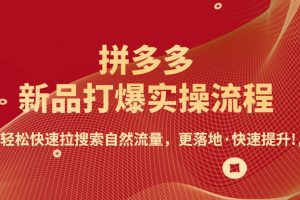 拼多多-新品打爆实操流程：轻松快速拉搜索自然流量，更落地·快速提升!