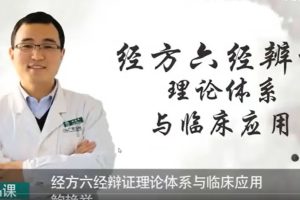 鲍艳举-经方六经辨证理论体系与临床应用（我的经方之路）