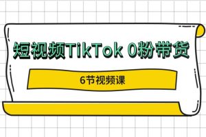 短视频TikTok 0粉带货教程（6节视频课）