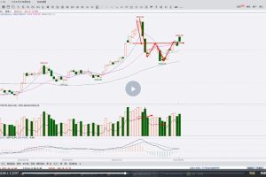 无为金融－鬼推磨之蝴蝶战法（6视频）