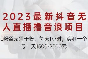 2023最新抖音无人直播撸音浪项目