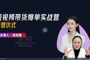 透透糖·短视频带货爆单实操课程