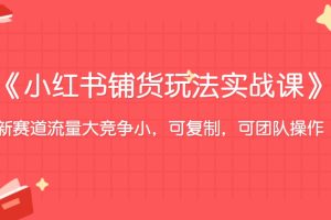 《小红书电商2023铺货玩法实战课》新赛道流量大竞争小，可复制，可团队操作