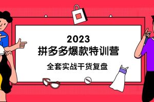 《2023拼多多爆款特训营》全套实战干货​复盘