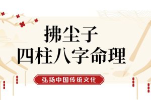 拂尘子四柱八字命理课程视频6集