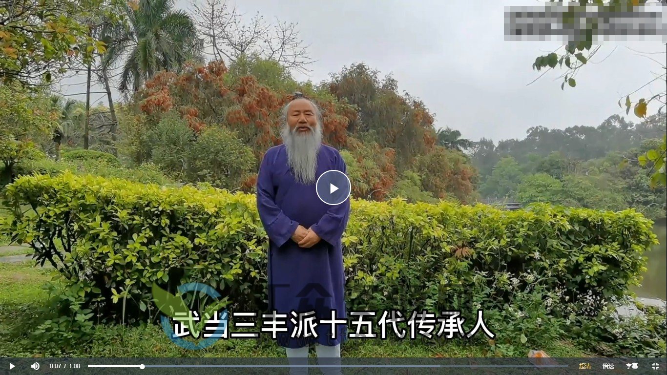 汪师智道长-武当太乙五行拳详细版课程（16集视频）插图