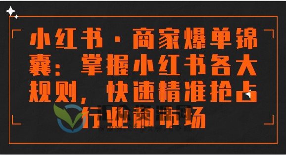 《小红书·商家爆单锦囊》掌握小红书各大规则,快速精准抢占行业和市场插图 《小红书·商家爆单锦囊》掌握小红书各大规则,快速精准抢占行业和市场插图