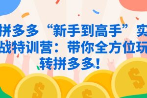 拼多多“新手到高手”实战特训营：带你全方位玩转拼多多！