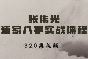 张伟光道家八字实战课程视频320集