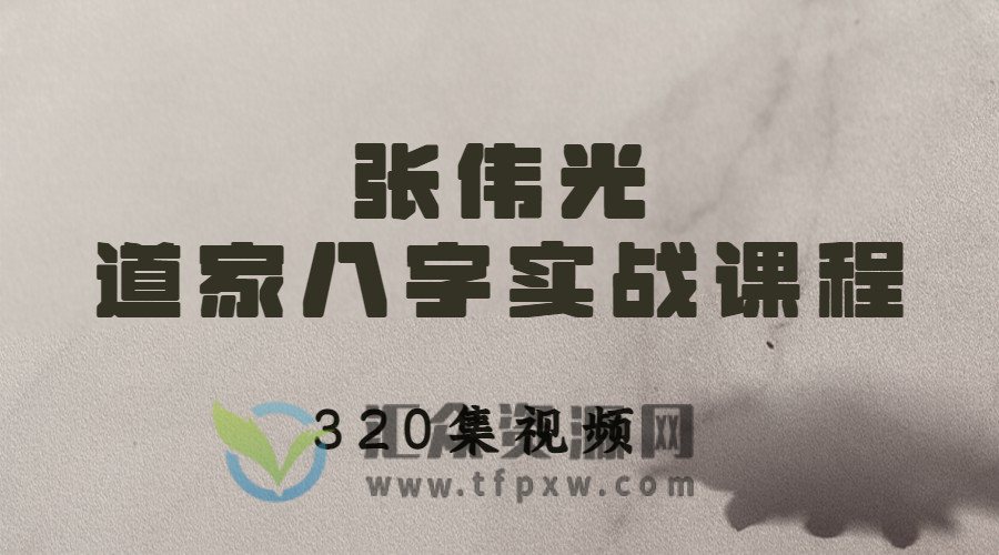 张伟光道家八字实战课程视频320集插图