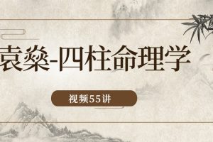 袁燊-四柱命理学（共五十五讲）