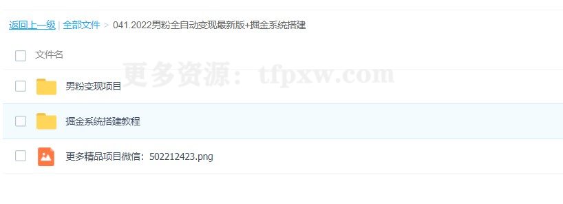 2022男粉全自动变现最新版+掘金系统搭建插图