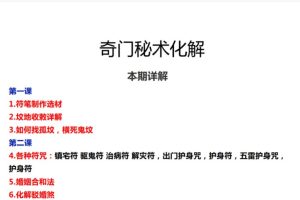孟儒 师承奇门秘术 视频+资料