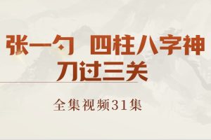 张一勺  四柱八字神刀过三关 视频31集