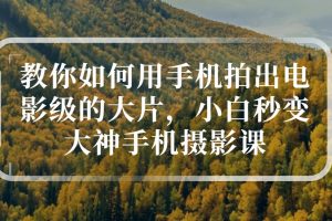 教你如何用手机拍出电影级的大片，小白秒变大神手机摄影课!！