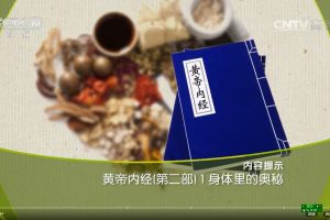 《百家讲坛》皇帝内经第二部（19讲高清完整版）