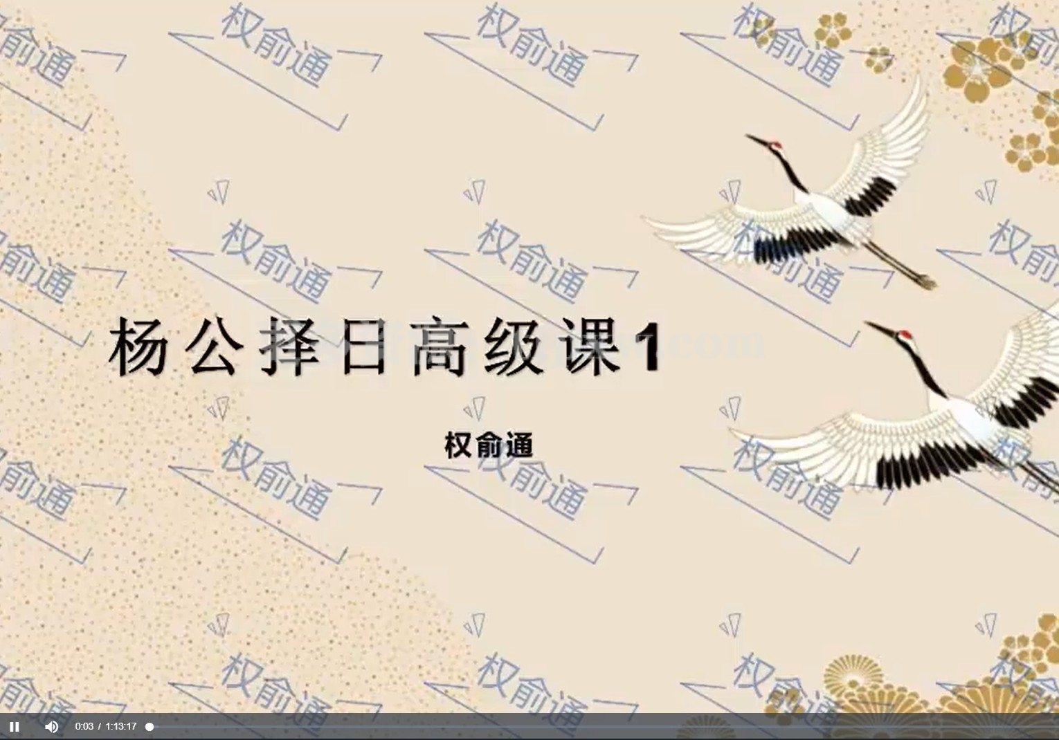 权俞通杨公择日高级课8集视频插图