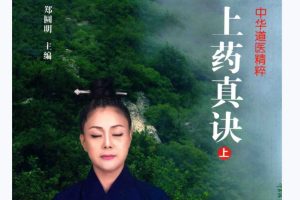 上药真诀（全三册）PDF电子书