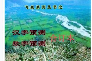 余庭春-飞鱼汉字数字预测合集PDF 305页